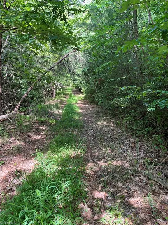 Millers Creek, NC 28651,000 Rawhide RD