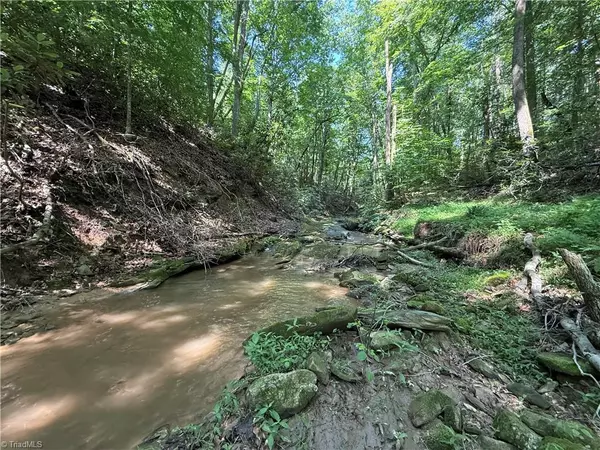 Wilkesboro, NC 28697,Tbd Mount Sinai RD