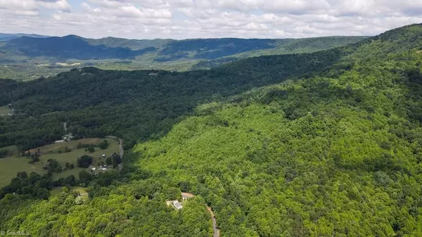 Cana, VA 24317,0 Bear Trail