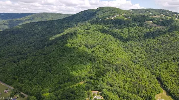 Cana, VA 24317,0 Bear Trail