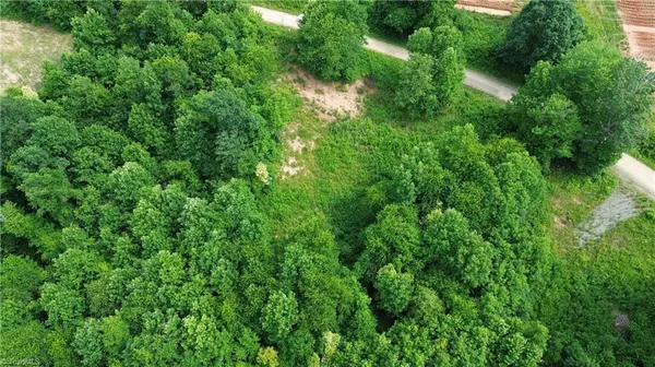 Traphill, NC 28685,TBD Bauguess Mill RD