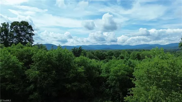 Traphill, NC 28685,TBD Bauguess Mill RD