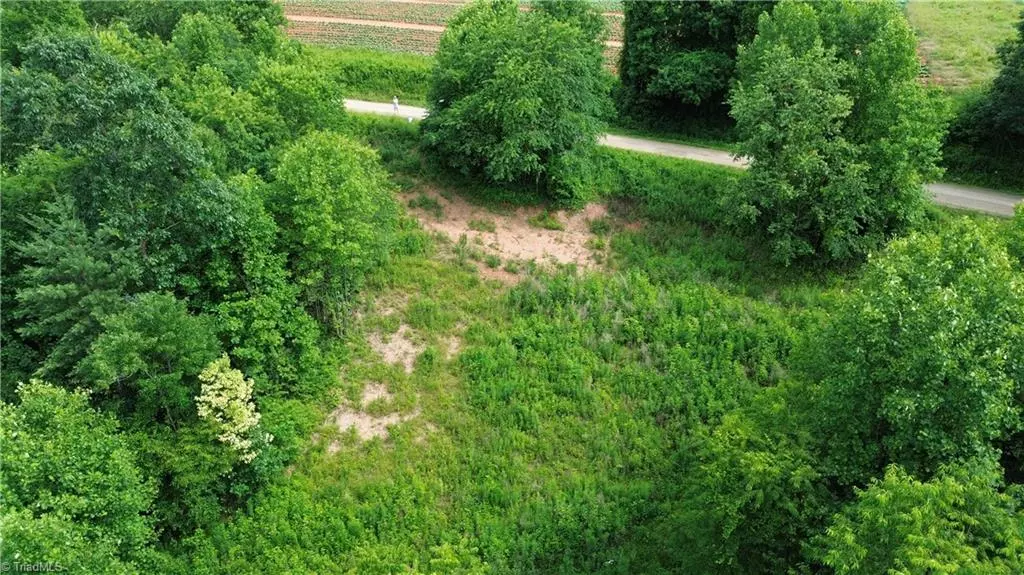 Traphill, NC 28685,TBD Bauguess Mill RD