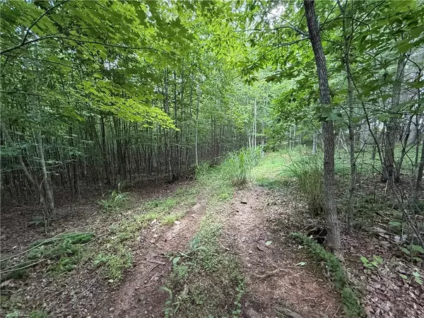 Westfield, NC 27053,0 Apple Blossom LN