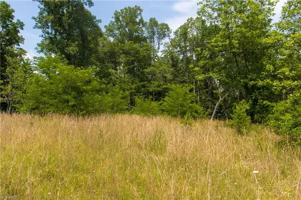 Sandy Ridge, NC 27046,000  Lot Joyce Woodworks RD