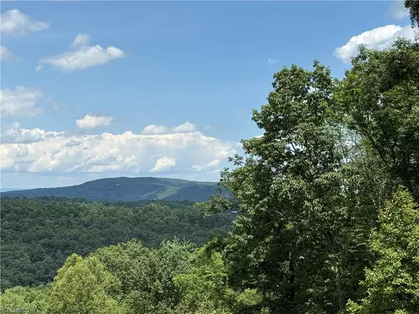 Purlear, NC 28665,Lot 215 Casey Mountain RD