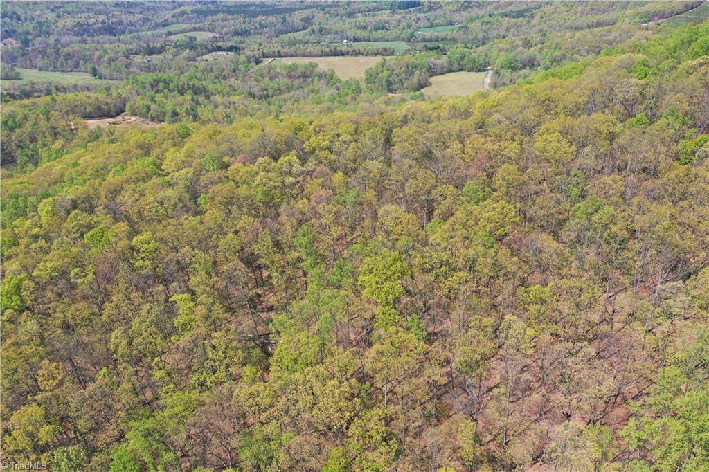 Lowgap, NC 27024,TBD Ivy Green TRL