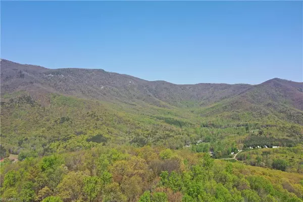 Lowgap, NC 27024,TBD Ivy Green TRL