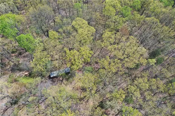 Lowgap, NC 27024,TBD Ivy Green TRL