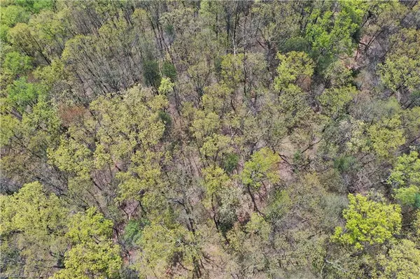 Lowgap, NC 27024,TBD Ivy Green TRL