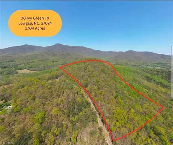 TBD Ivy Green TRL, Lowgap, NC 27024