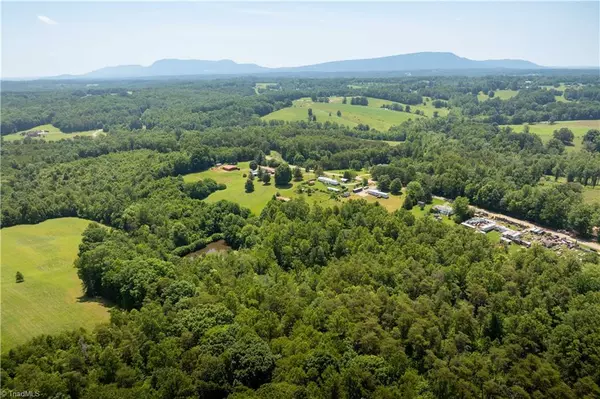 Westfield, NC 27053,3.9Ac Pell RD