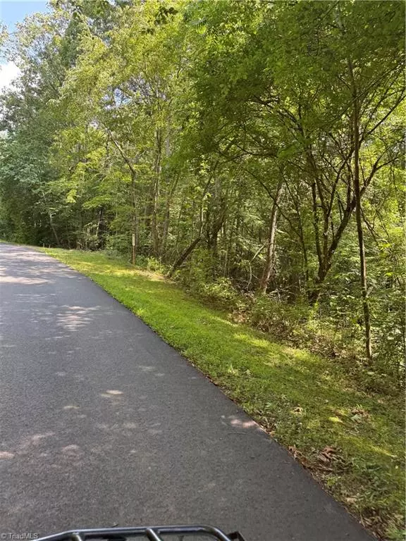 Moravian Falls, NC 28654,00 Cabin Cove LN