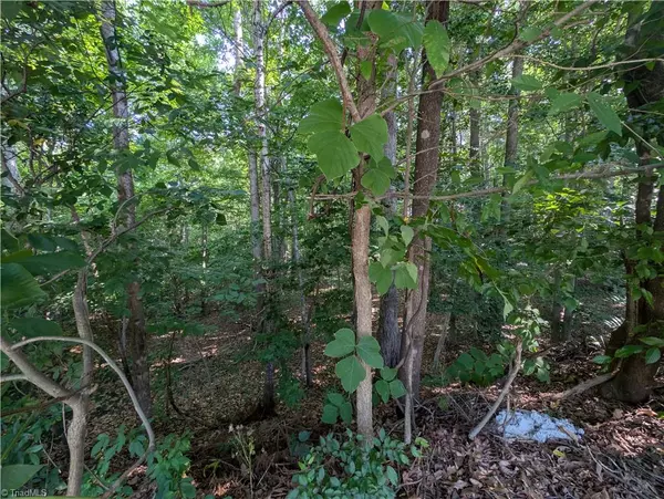 Mocksville, NC 27028,210 Birchwood LN