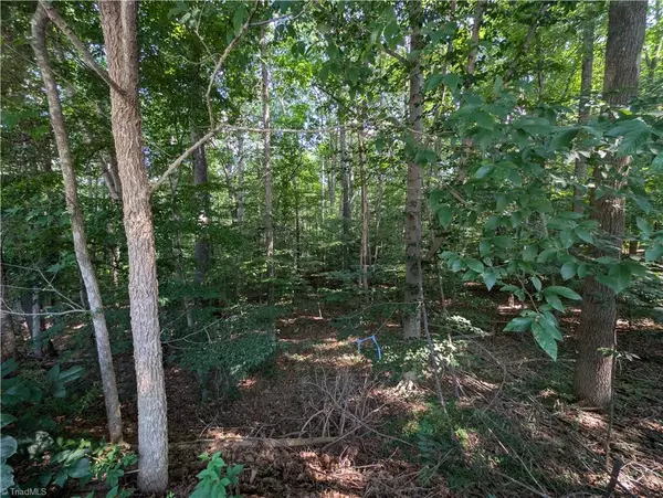 Mocksville, NC 27028,210 Birchwood LN