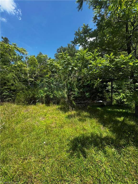 Pelham, NC 27311,301 Pryor RD