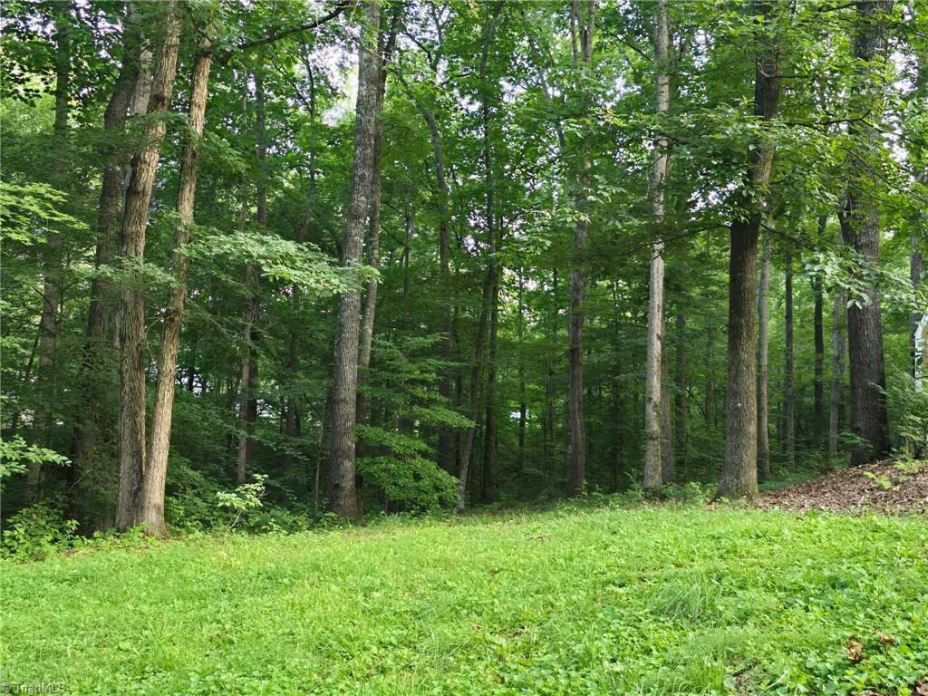 Walnut Cove, NC 27052,1070 Burdun LN