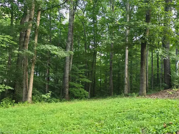 Walnut Cove, NC 27052,1070 Burdun LN