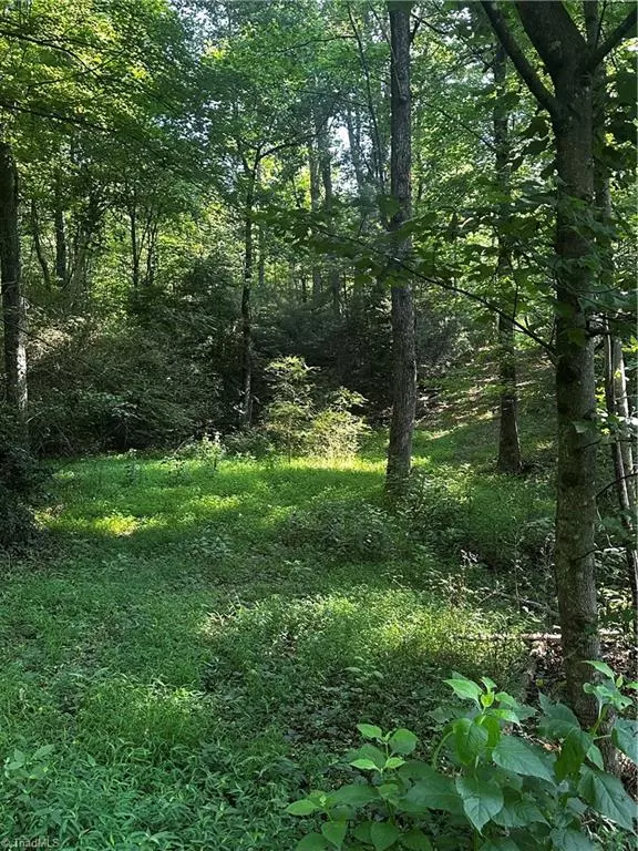 Millers Creek, NC 28651,000 Walker LN