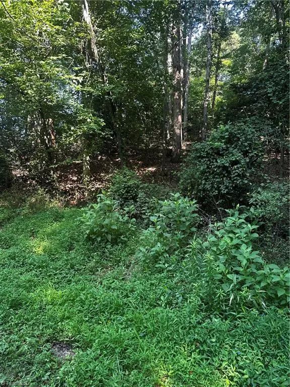 Millers Creek, NC 28651,000 Walker LN