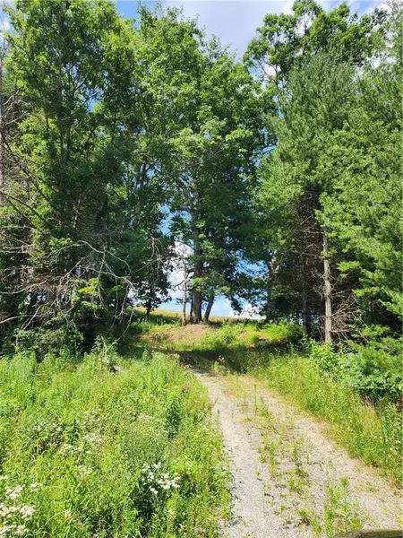 61 Sheriff RD, Sparta, NC 28675