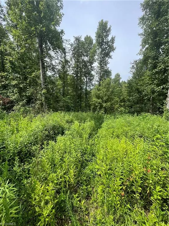 Boomer, NC 28606,TBD Boomer RD