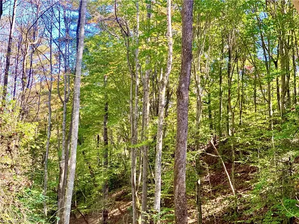 Millers Creek, NC 28651,TBD Friendly Grove Church RD