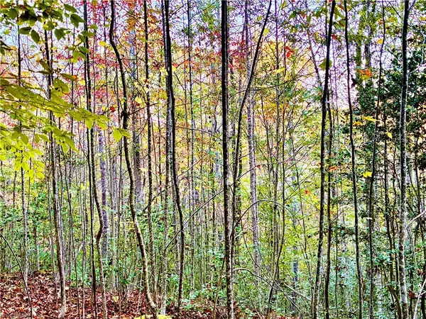 Millers Creek, NC 28651,TBD Friendly Grove Church RD