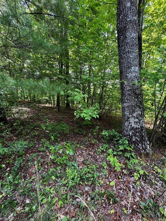 Cana, VA 24317,000 Virgilina CIR