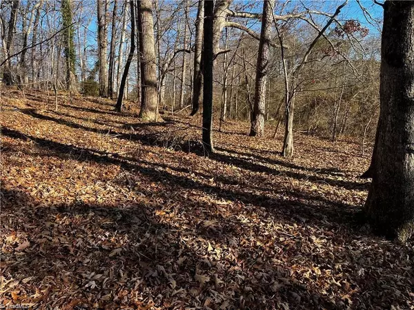 Cana, VA 24317,0000 Virgilina CIR