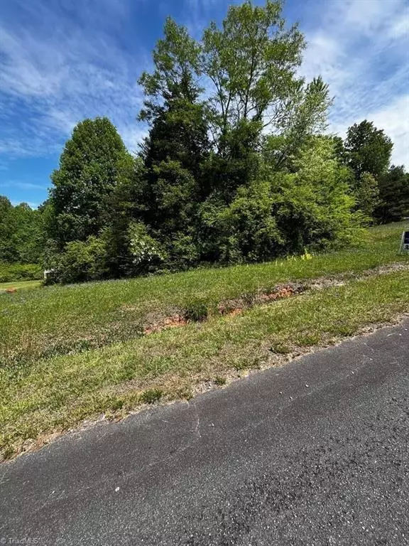 Cana, VA 24317,00000 Virgilina CIR