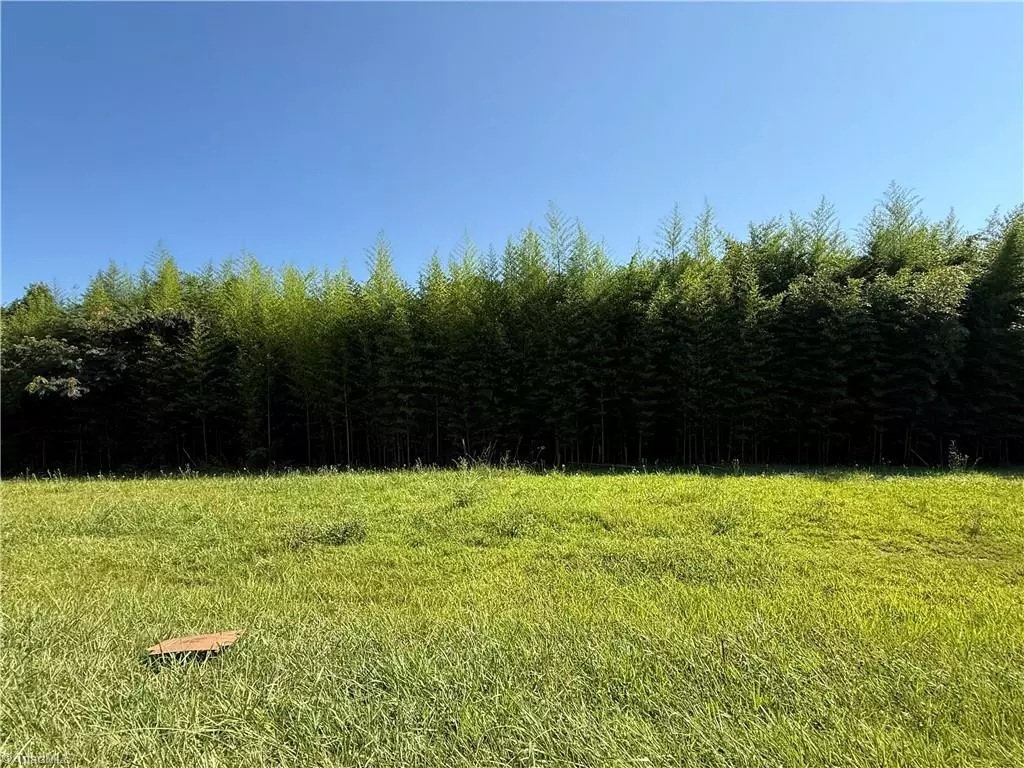 Sophia, NC 27350,00 US Highway 311