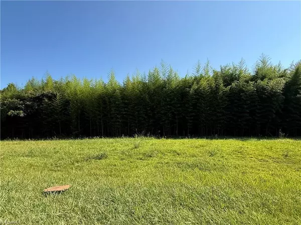 00 US Highway 311, Sophia, NC 27350