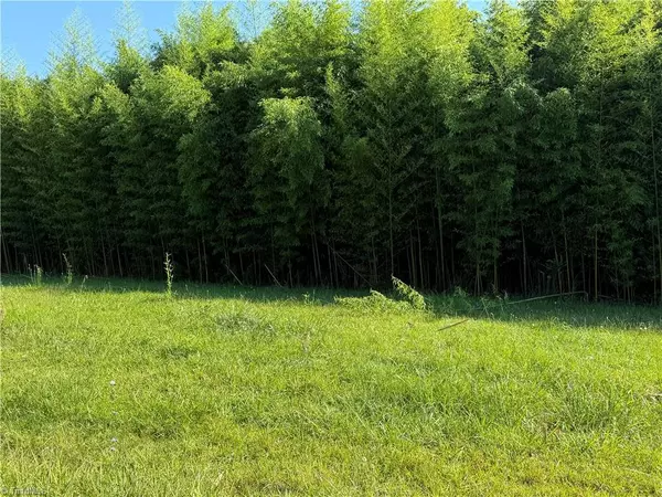 Sophia, NC 27350,00 US Highway 311