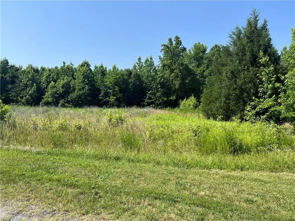 Summerfield, NC 27358,224 Pearson Farm RD