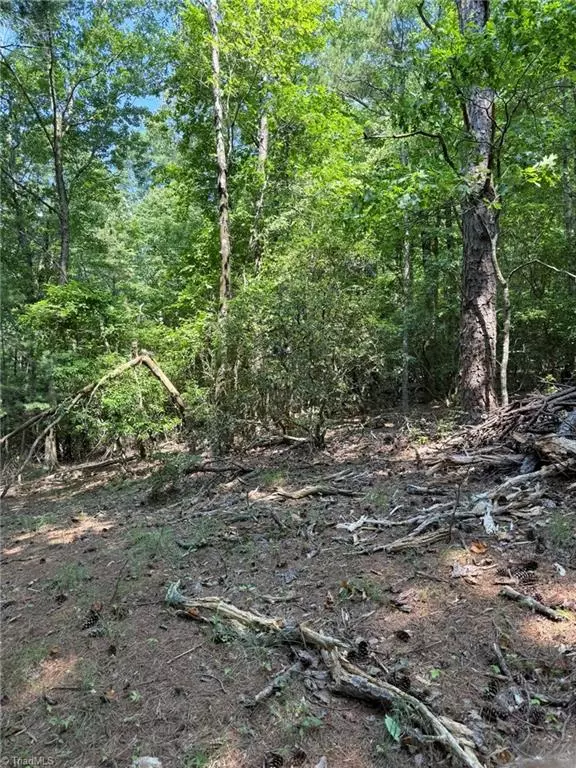Lowgap, NC 27024,Lot 33 Jonathan DR
