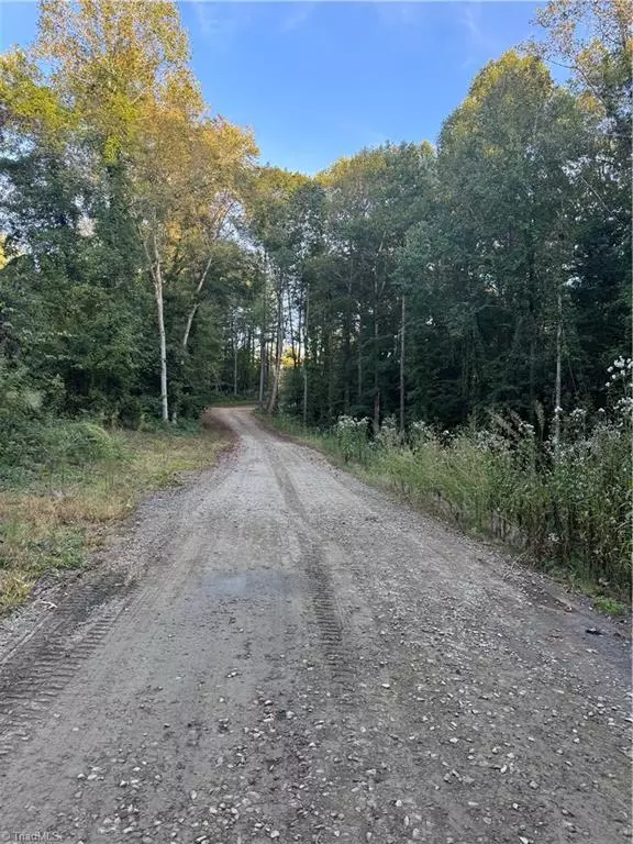 Lewisville, NC 27023,1762 Canopy TRL