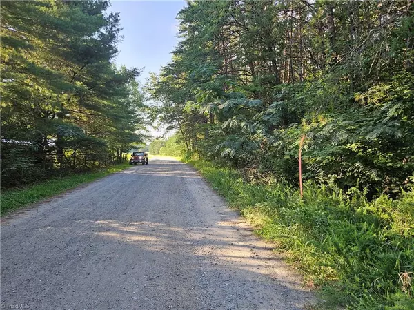 Pilot Mountain, NC 27041,0 Gravitte RD #1.6