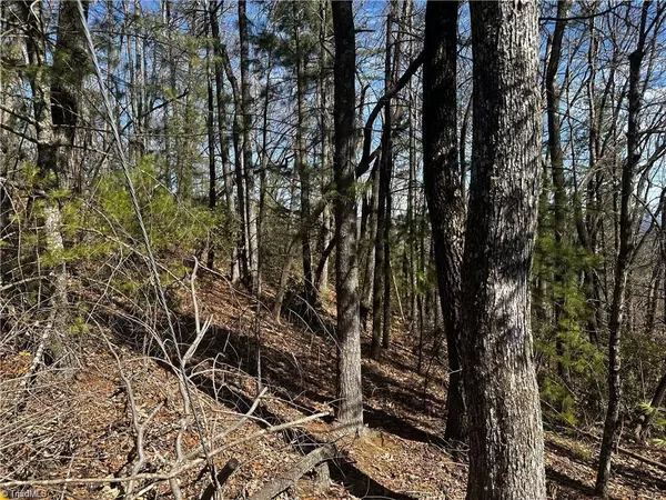 Millers Creek, NC 28651,0 Timber Ridge RD