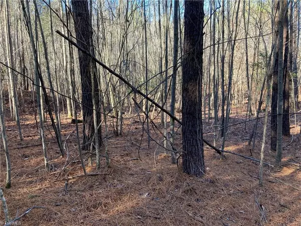 Star, NC 27356,00 NC Highway 134 N