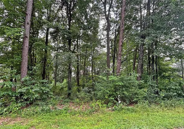 Lot 23 Kingsway DR, King, NC 27021