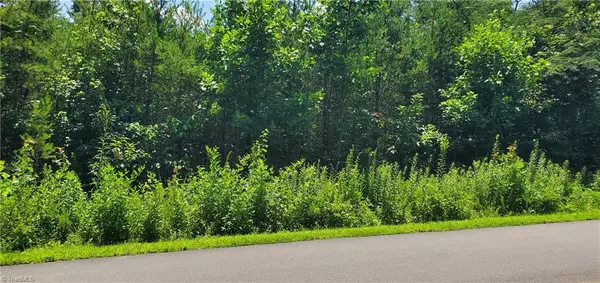 Olin, NC 28660,168 Valley Springs DR