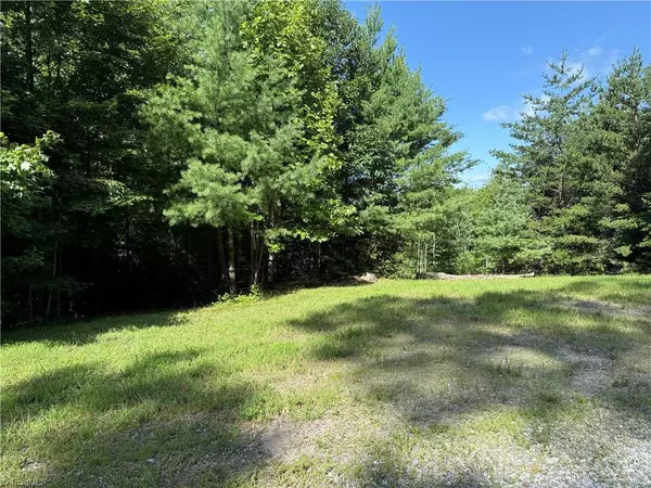 Purlear, NC 28665,Lot 191 & 192 Casey Mountain RD