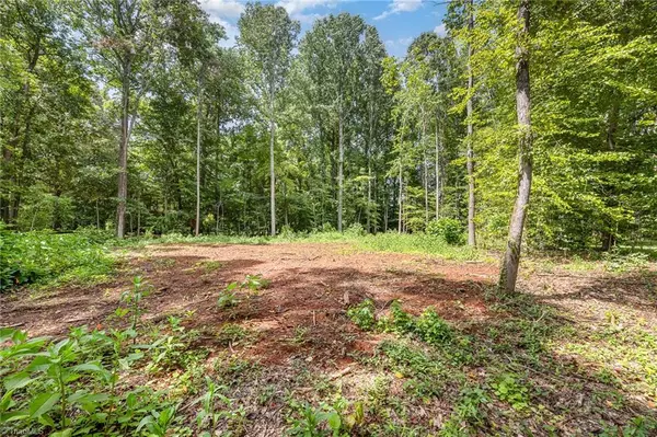 Mocksville, NC 27028,171 Lakeview DR