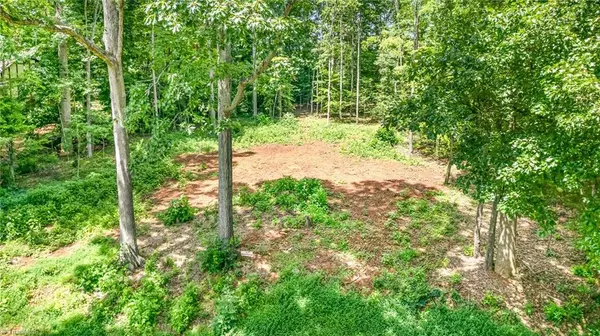 Mocksville, NC 27028,171 Lakeview DR