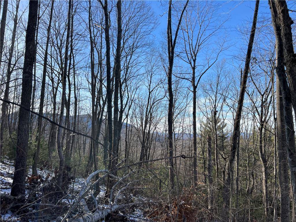 TBD (Lot 8) Woodland Ridge, Lansing, NC 28643