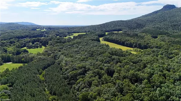 Pilot Mountain, NC 27041,0 Black Mountain RD