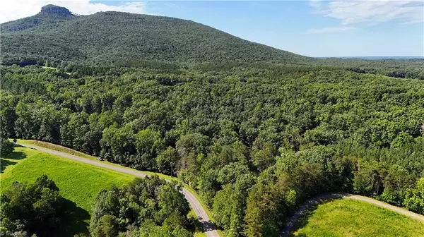 Pilot Mountain, NC 27041,0 Black Mountain RD