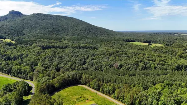 Pilot Mountain, NC 27041,0 Black Mountain RD