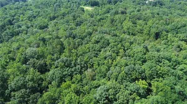 Danbury, NC 27016,1344-1540 NC Highway 89 N #90+/- AC north tract